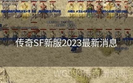 2026年新传奇sf找服全攻略，3大避坑技巧+5大黄金版本推荐