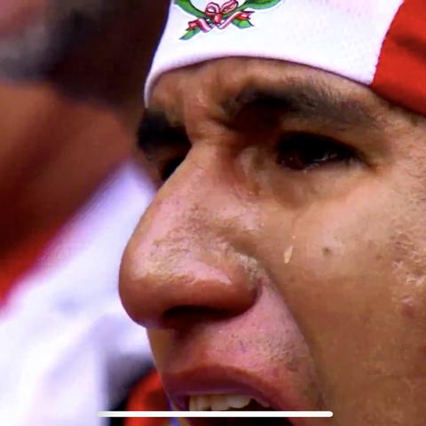 大爷见网友被骗800万后去世，2026最新银发族防骗生死战手册