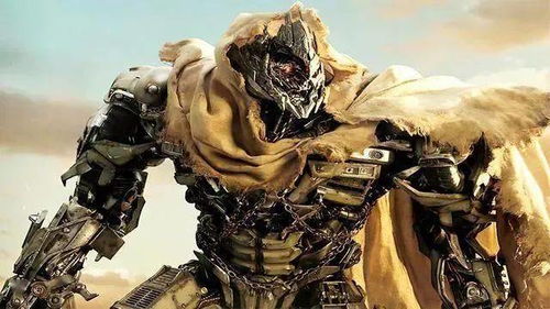 威震天环球影城摔倒真相，2026年最新表演安全攻略与避坑指南