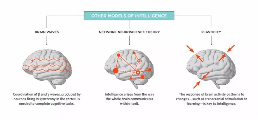 一、四大高人气类型深度拆解，你的大脑更吃哪一套？