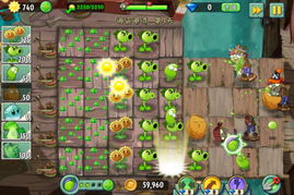 海盗港湾第七天弹簧豆保护终极攻略，3套平民阵容+滚筒僵尸秒杀技巧2026新版