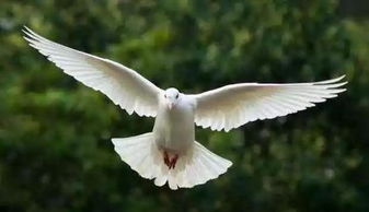 2026年单机游戏什么类型最好玩？开放世界、肉鸽、策略三大热门实战选择指南