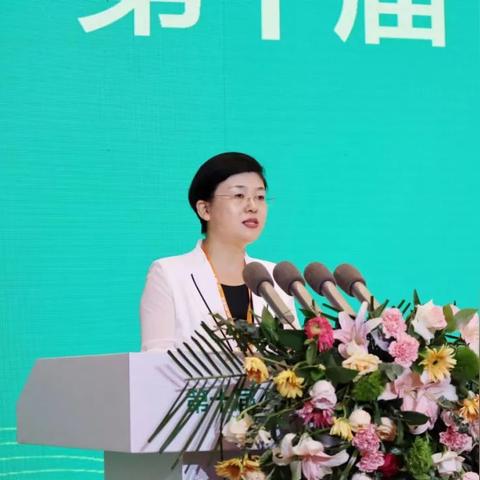 178lol视频站核心定位，垂直深耕的战术数据库