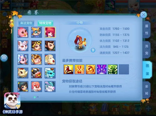 神武金钱龟5大变异类型怎么选？2026血耐宠培养全流派实战指南