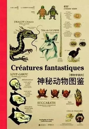 格子客物种图鉴，你属于哪一类整理偏执狂？