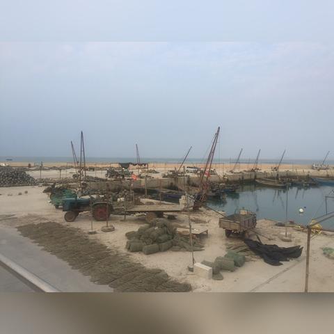 为什么你的牧场总亏钱？2026年新手必踩的12个致命误区与暴富流打法全解析