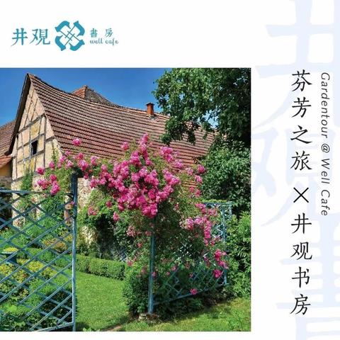 京城寻访类型全揭秘，2026春季寻访令获取与保底机制实战指南