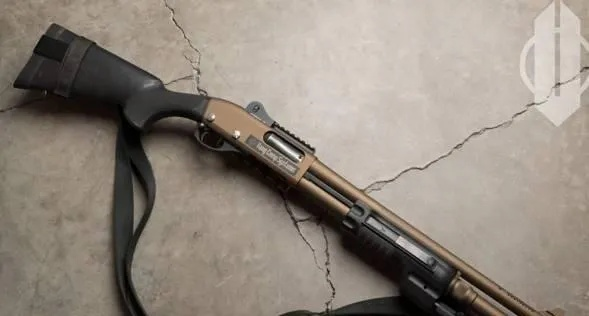 2026年开年必看，便携式霰弹枪选型终极指南，这3类武器决定你的赛季胜率