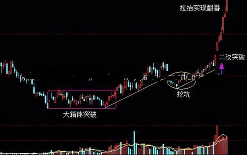 九阴真经挖宝玄学还是科学？2026实测数据揭示爆率真相与高收益路线图