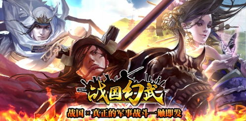 战国无双2明智光秀类型深度解析，2026年最强连招配置与实战打法全攻略