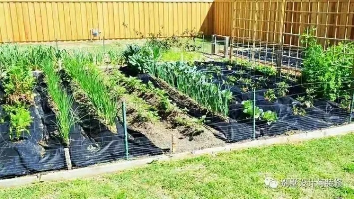 2026美国前院菜园合法化？屋前屋后高收益种菜实战指南与避坑清单