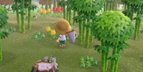 动物森友会Switch隐藏机制全曝光，从村民AI到岛屿风水的五星岛屿速成法