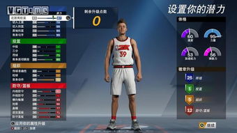 NBA2K13招牌技能终极指南，2026年最新实战搭配与隐藏机制全解析