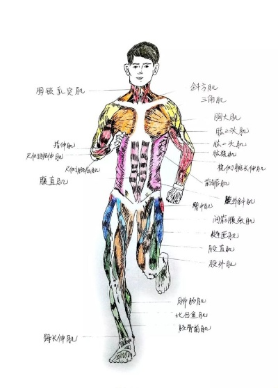 一、搜服类型解剖，你找的到底是哪种服？