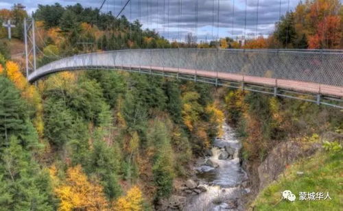 初露之源最快采集路线，枫丹水下洞穴全点位实测，8分钟刷满72个突破材料