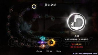 奥日与黑暗森林2026新版，速通级全收集+隐藏机制深度解析