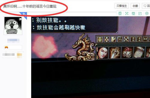 新魔界SF怎么选服不踩坑？2026年最新稳定服推荐+三职业进阶攻略