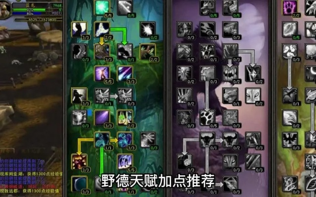 德鲁伊练级天赋终极指南，猫德秒怪流3天满级秘籍