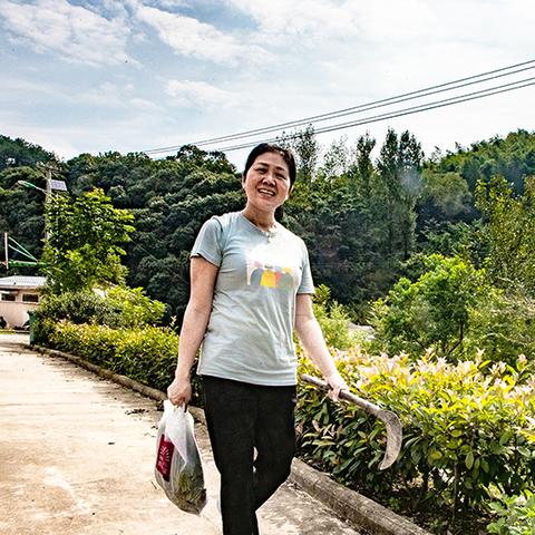 将军令主页绑定失败？2026年最新3步急救方案