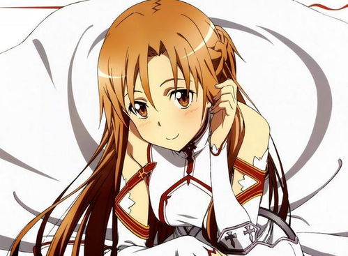 C81同人志类型终极解码，2026年Comic Market 81热门题材与选购实战指南