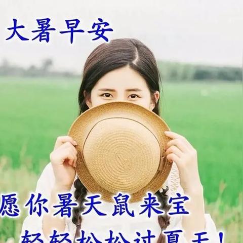 夏空类型游戏怎么选？2026年最新夏日模拟SLG玩法深度解析与高分攻略