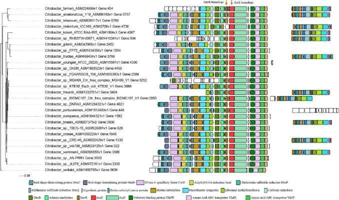 进化游戏怎么玩才不死？2026年最新基因系统全维度攻略