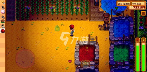 星露谷物语种植什么最赚钱？2026春季新版速通暴富攻略