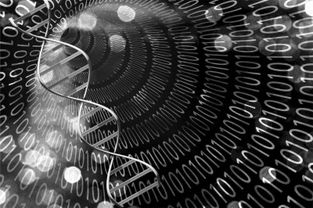 雷哈格尔战术的基因测序，纪律性大于天赋的精密系统