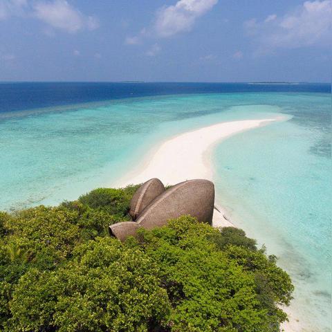 天宠岛新手避坑指南，7天速通资源最大化布局策略