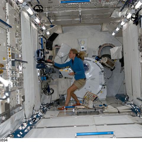 星辰变技能体系全拆解，2026年最新12形态实战强度排名与双修方案