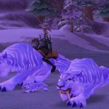 冬泉霜刃豹速刷秘籍，3天崇拜的隐藏技巧与任务链全解析