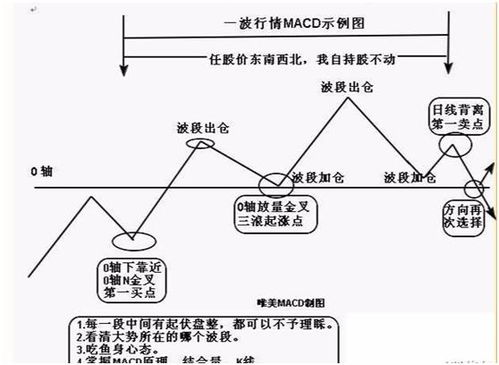 一、刷金bug的四大生存形态与原理剖析
