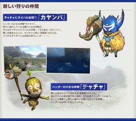 怪物猎人3Gwiki隐藏机制揭秘，从菜鸟到猎人的质变攻略