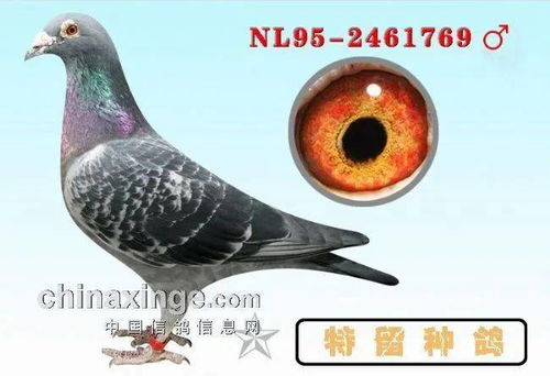 肉鸽还是开放世界？2026年最新游戏类型匹配测试，3分钟找到你的本命玩法