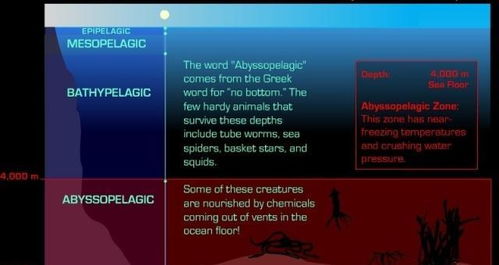生存之旅秘籍总失效？2026年最新控制台指令深度排查与实战手册