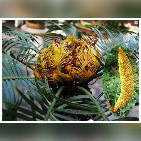 一、发服网类型图谱，你看到的只是冰山一角