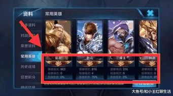 大仙女史尔特尔黄昏机制全拆解，2026年最强术师培养与合约登顶实战指南