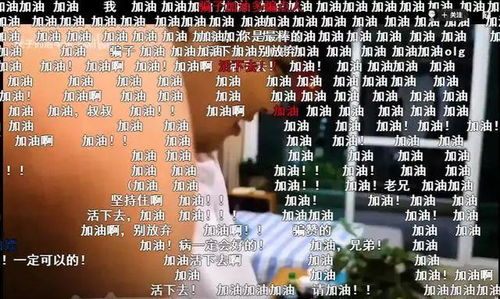 2026合影哥生存指南，从打卡废片到光影大师的10个隐藏机制