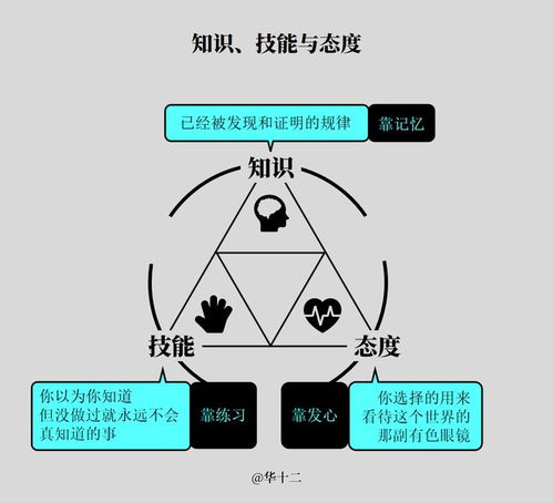 神秘的卵到底是什么？系统底层逻辑拆解