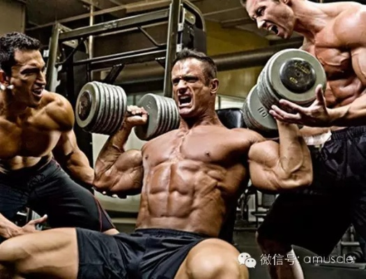 闪克连招圣经，3天从菜鸟到S+评分的肌肉记忆训练法