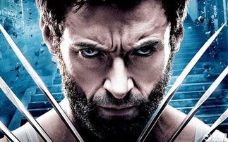 金刚狼电影类型解码，从X战警到R级革命的观影顺序与工业化破局全攻略