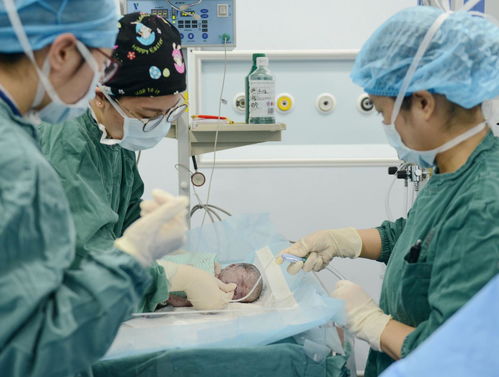 真两性畸形女子生育可能性调查，2026年分型标准与手术选择全解码