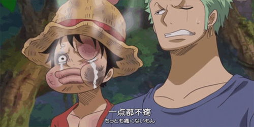 娜美喜欢什么类型？2026年路飞山治CP战局突变+尾田隐藏设定全解密