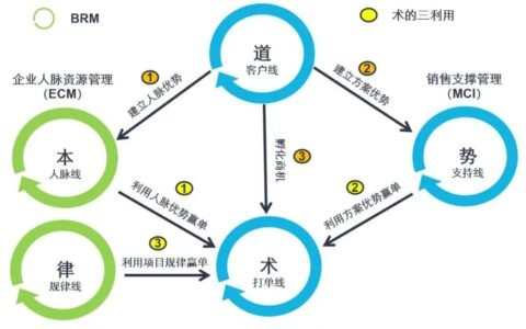 一、王道系与次世代王道，市场基本盘的统治逻辑