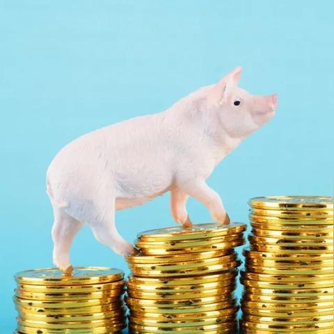 2026新版动物喂养全图鉴，12类稀有生物饲料配方与好感度暴击技巧