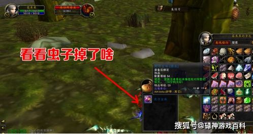 死寒披风还值得做吗？2026年TBC怀旧服暗纹裁缝终极决策指南