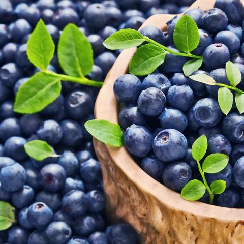 2026天涯明月刀天赐节全类型拆解，3大核心玩法+隐藏奖励速通指南