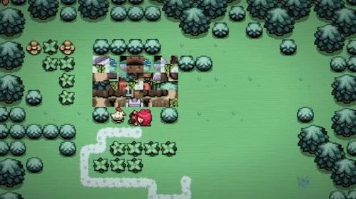 塞尔达传说到底算什么类型？2026年最新玩法架构深度揭秘