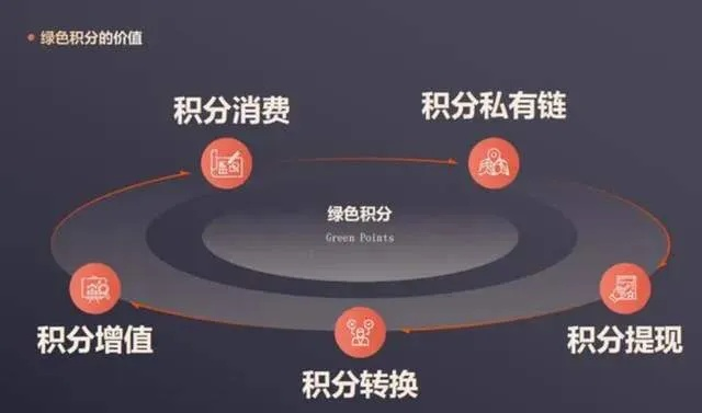 极点进化类型选错毁号？5步决策模型拯救你的培养资源