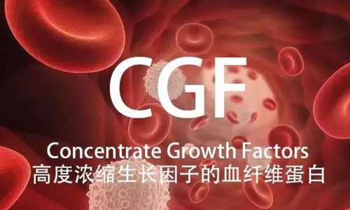 showtooltip 圣疗术